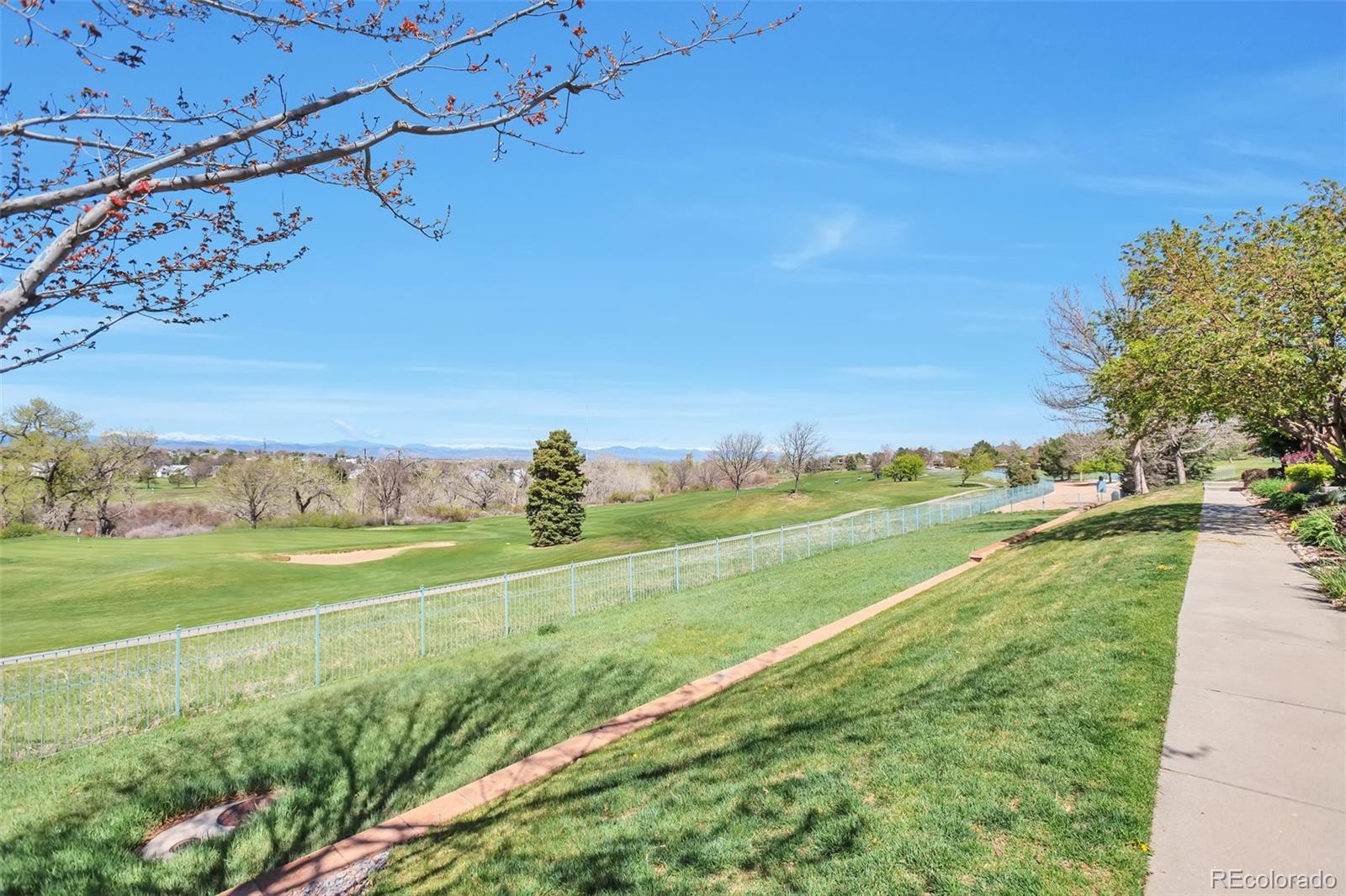 MLS Image #3 for 6406  silver mesa drive,highlands ranch, Colorado