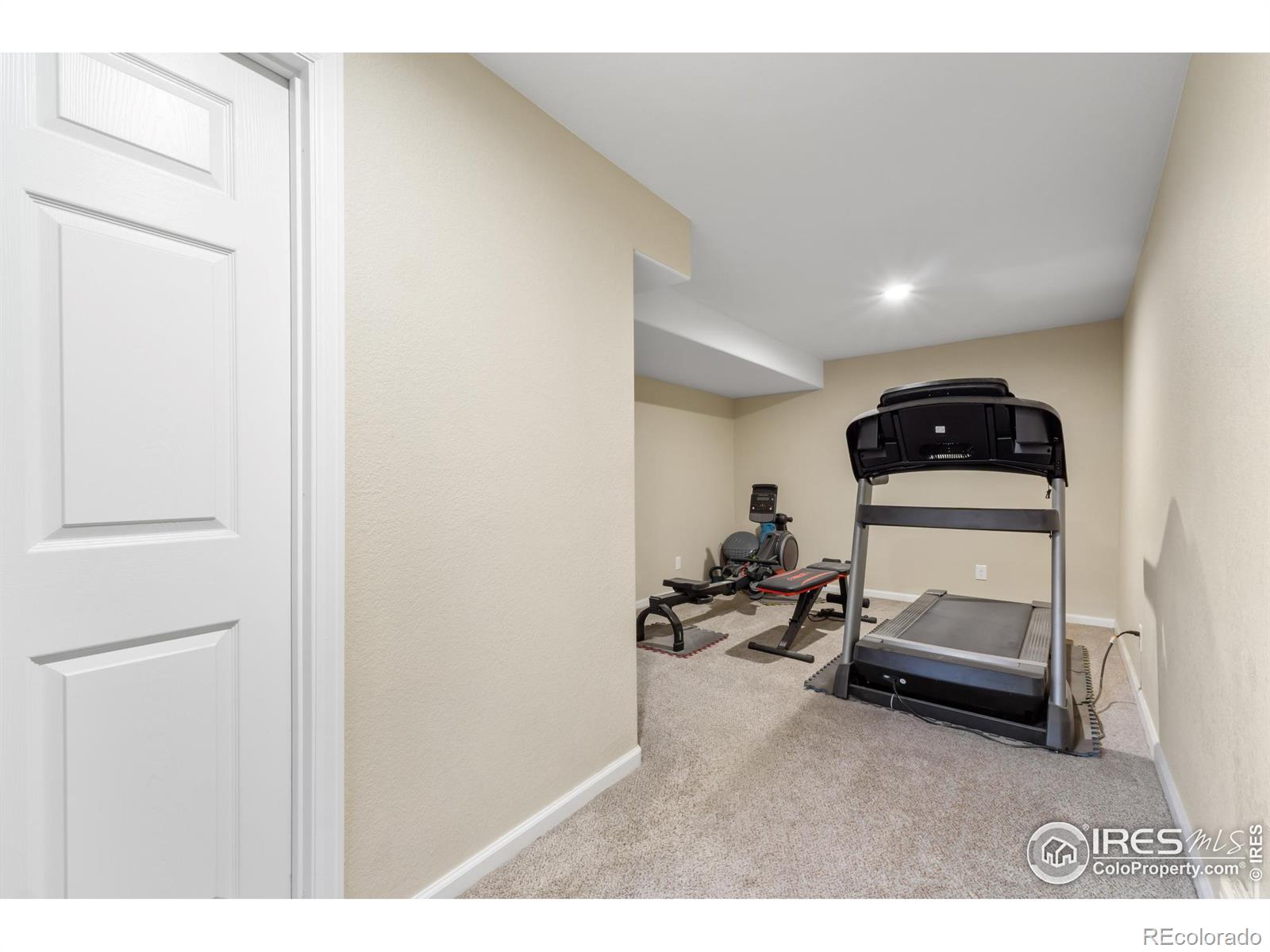 MLS Image #21 for 112  cobble drive,windsor, Colorado