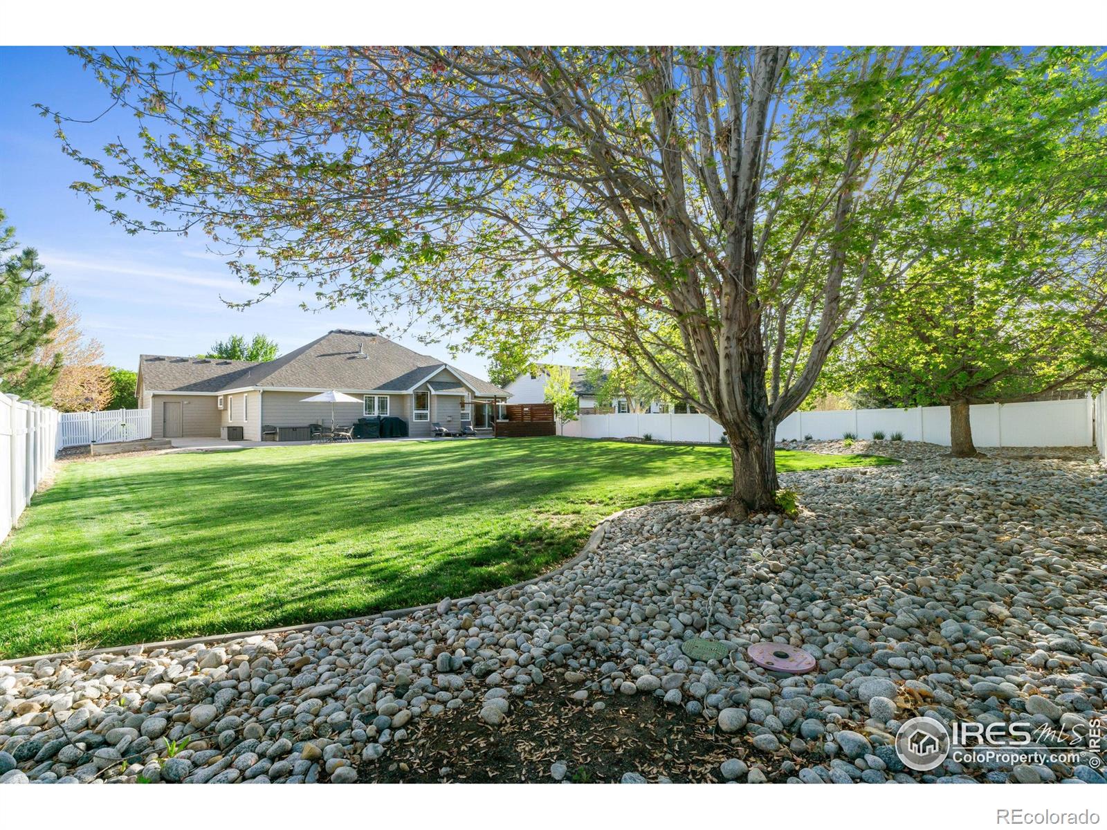 MLS Image #33 for 112  cobble drive,windsor, Colorado
