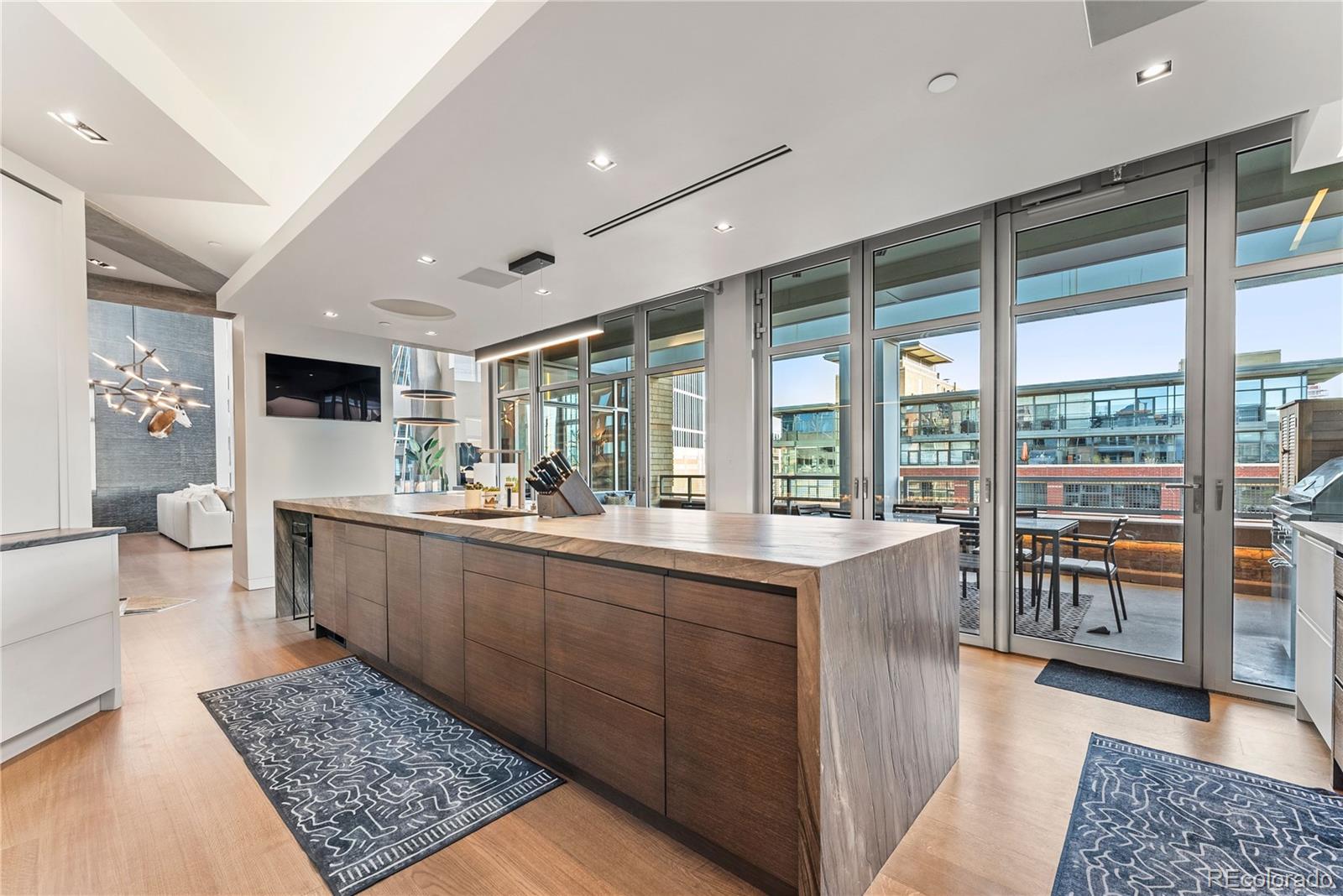 MLS Image #9 for 1610  little raven street,denver, Colorado