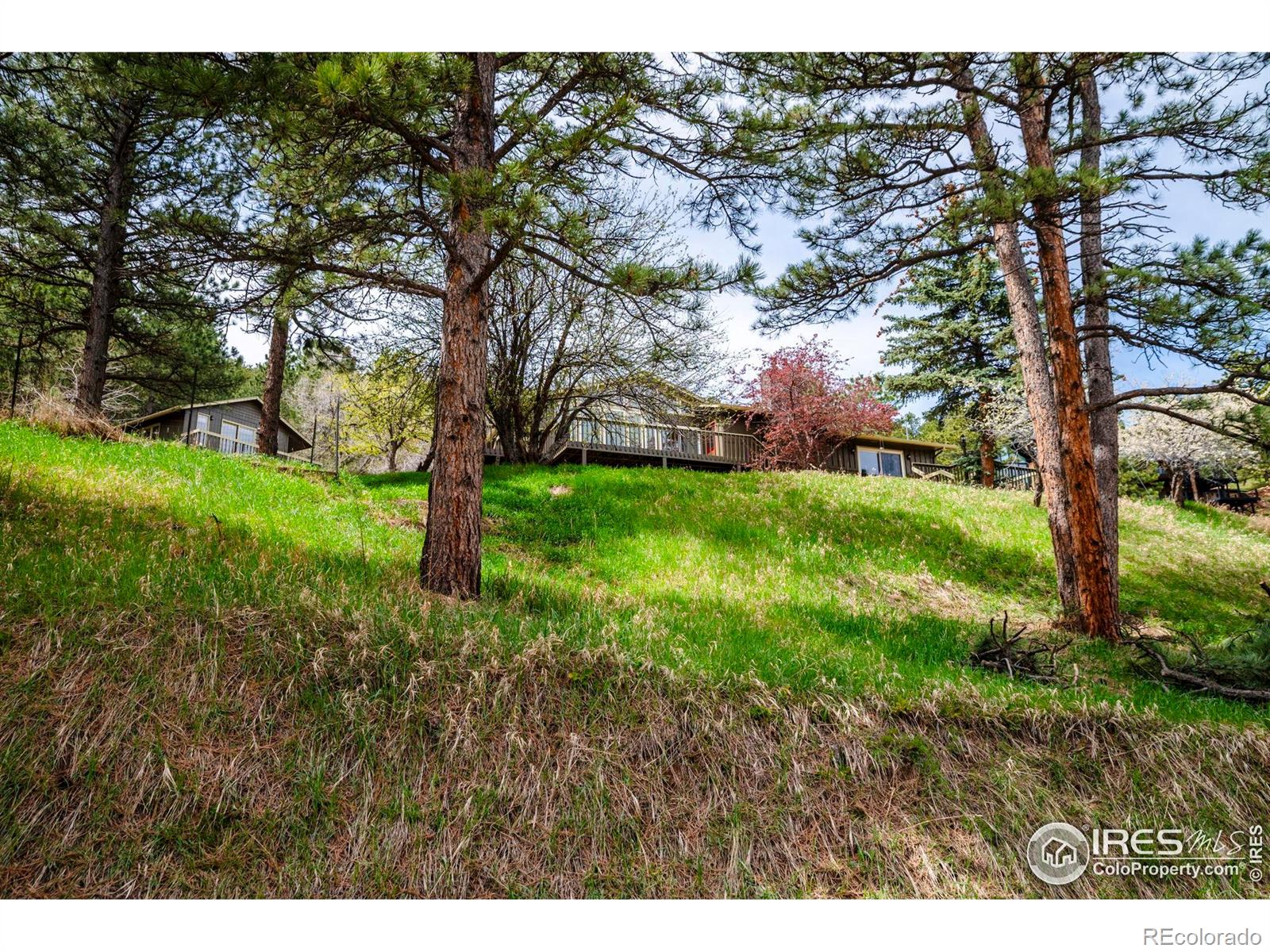 MLS Image #27 for 1629  timber lane,boulder, Colorado