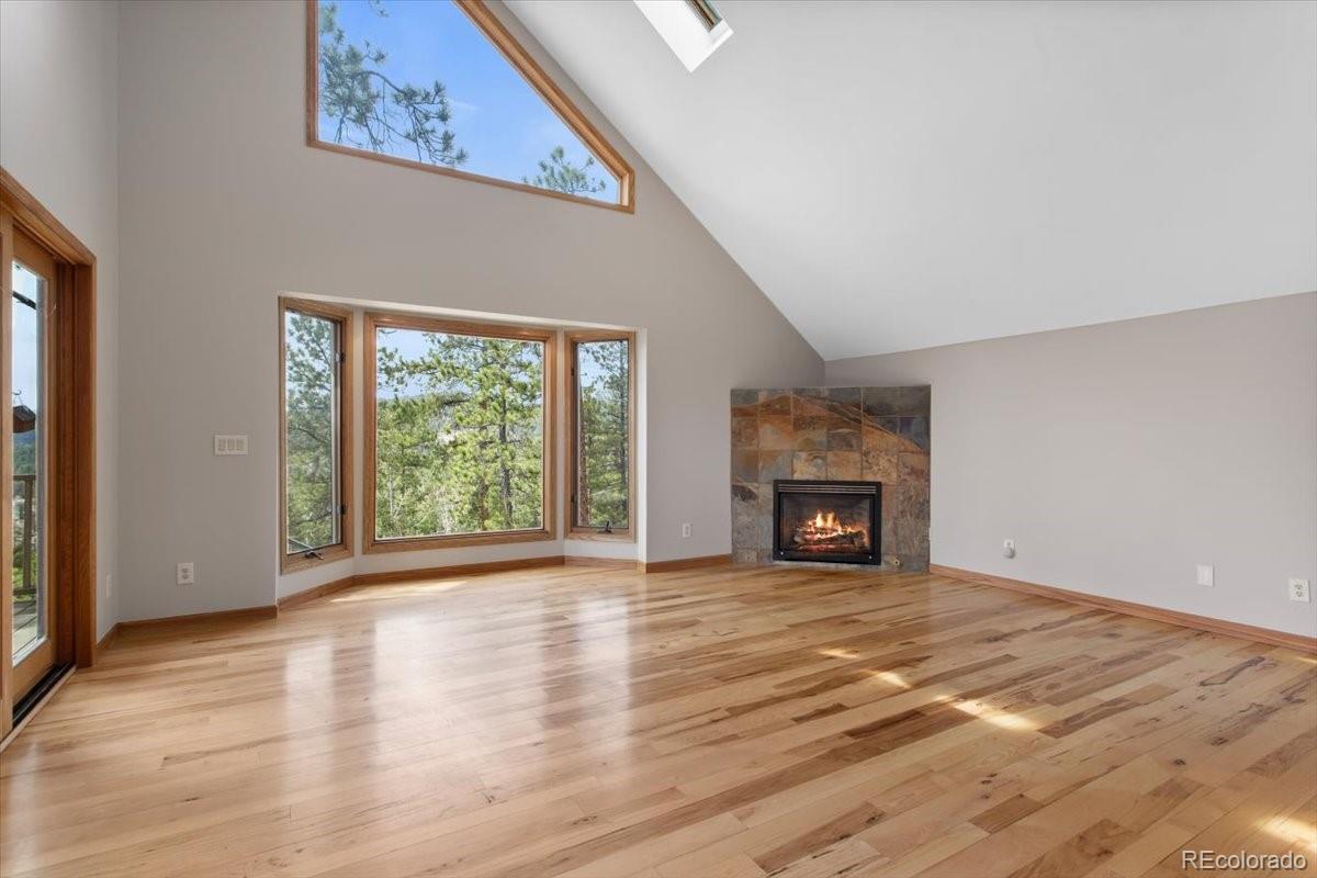MLS Image #9 for 13660  rampart drive,conifer, Colorado