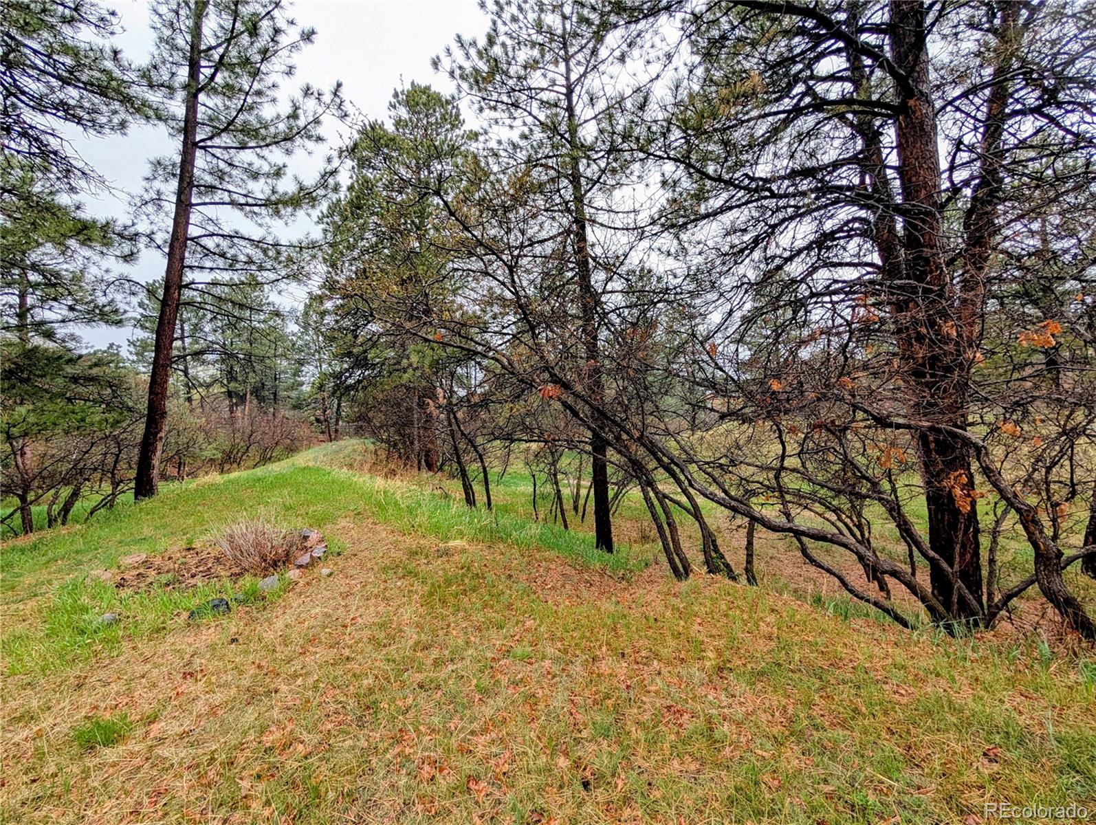MLS Image #3 for 8409  lightening view drive,parker, Colorado