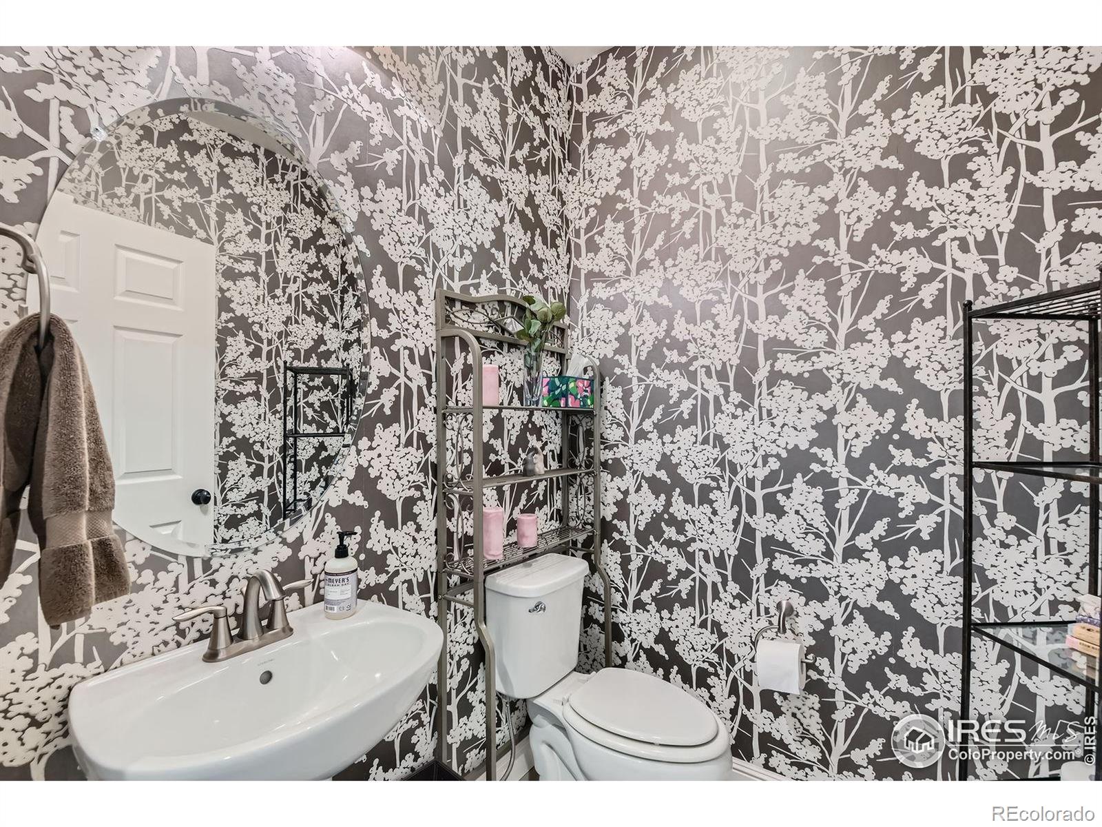 MLS Image #12 for 10834  graphite street,broomfield, Colorado