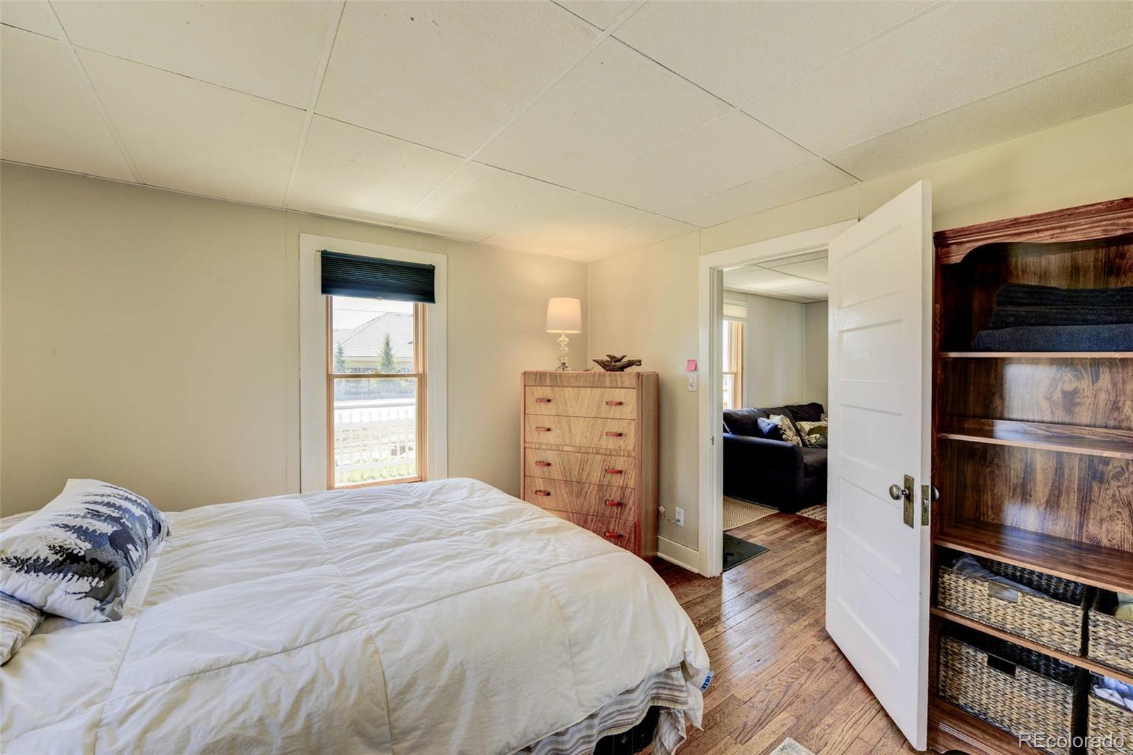 MLS Image #10 for 140  eighth street,fairplay, Colorado