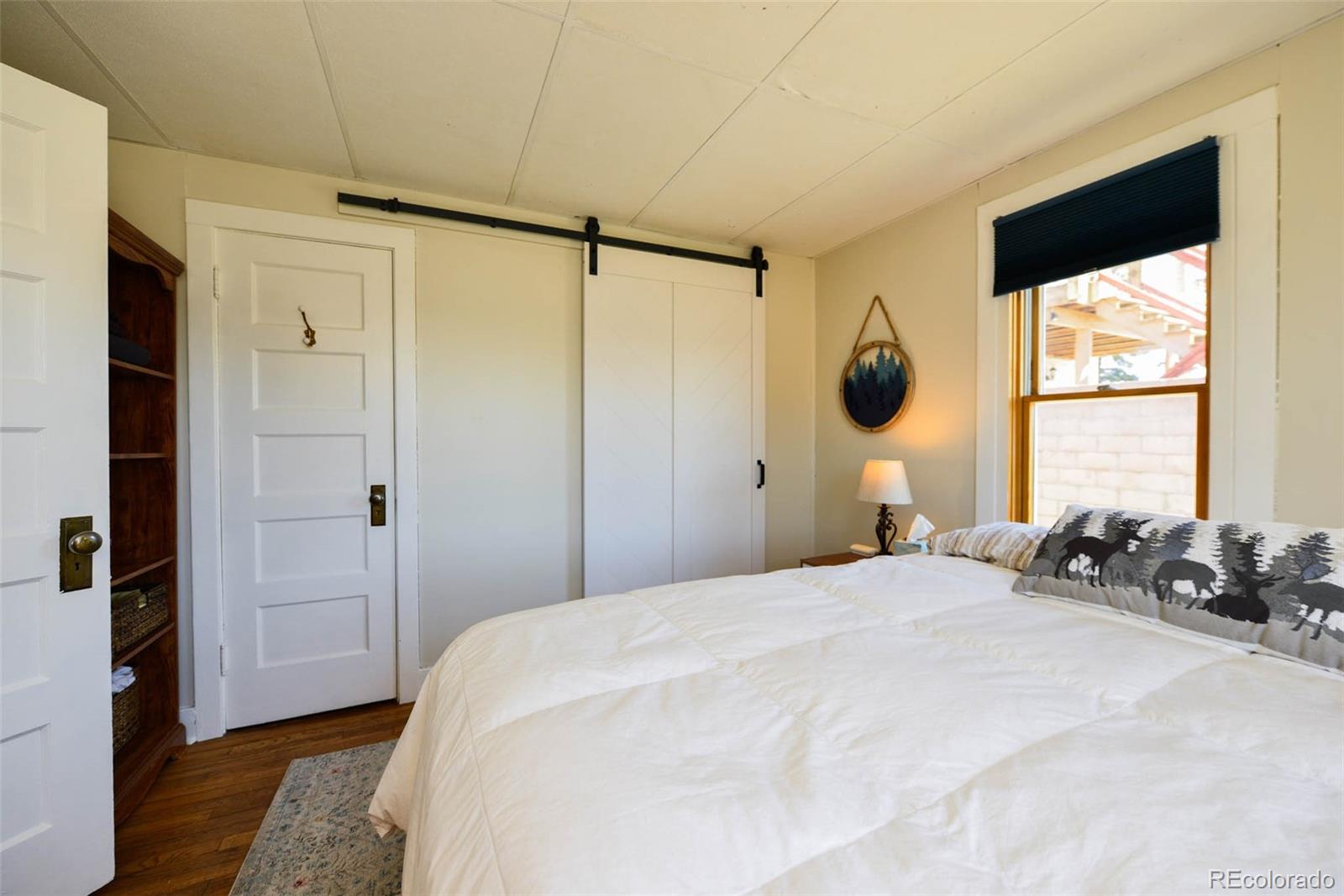 MLS Image #9 for 140  eighth street,fairplay, Colorado