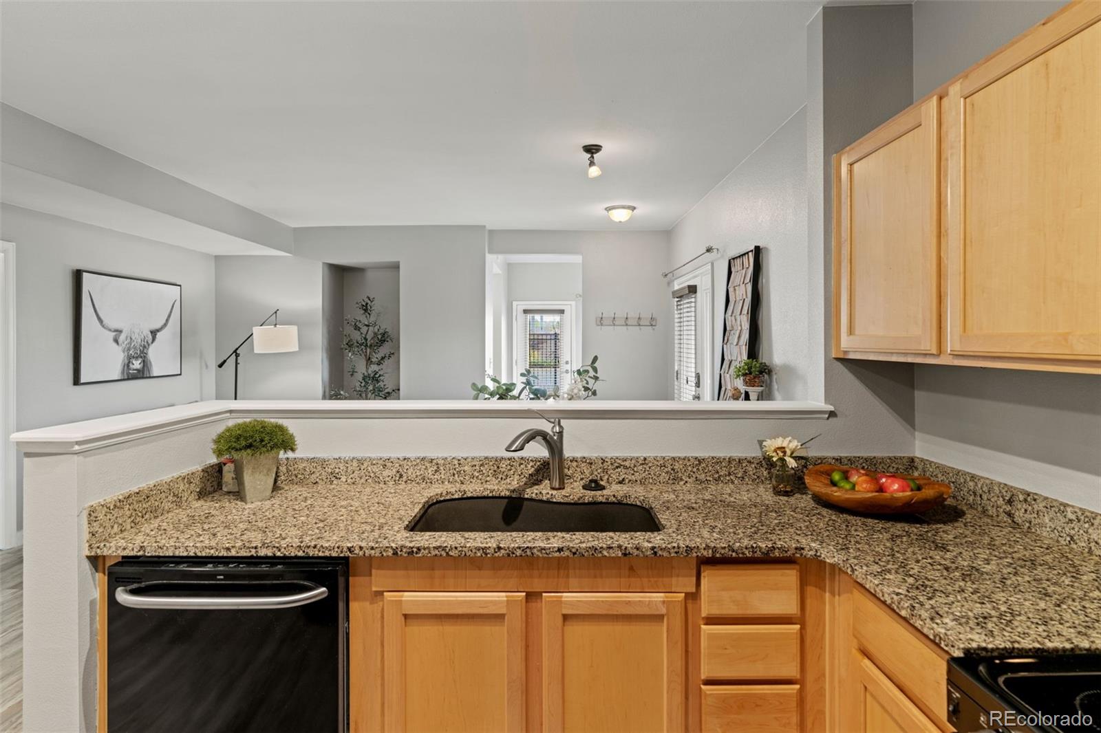 MLS Image #12 for 18601 e water drive,aurora, Colorado