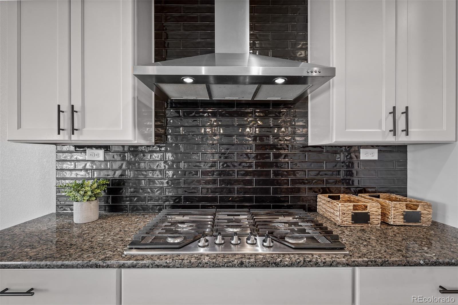 MLS Image #13 for 6678  cumbre vista way,colorado springs, Colorado