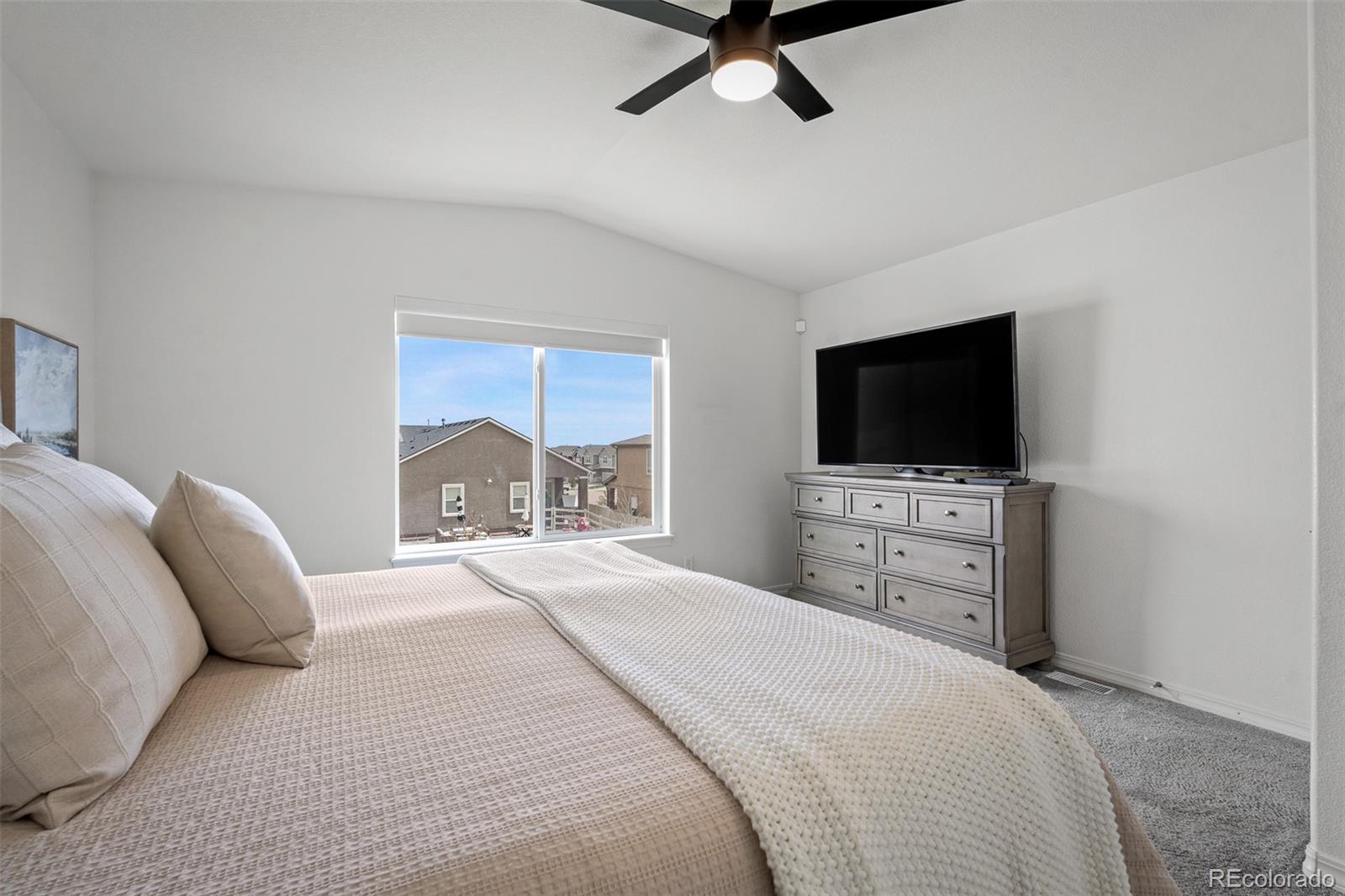 MLS Image #23 for 6678  cumbre vista way,colorado springs, Colorado