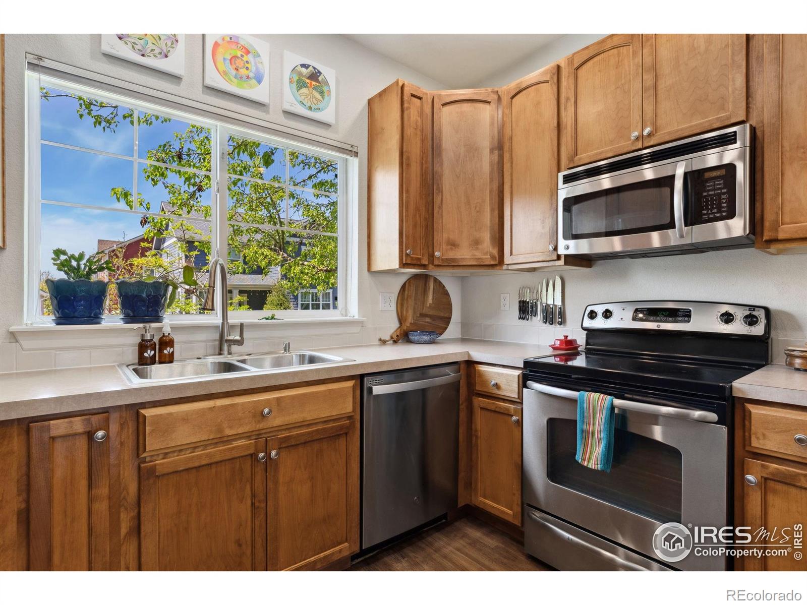 MLS Image #10 for 1278  hummingbird circle,longmont, Colorado