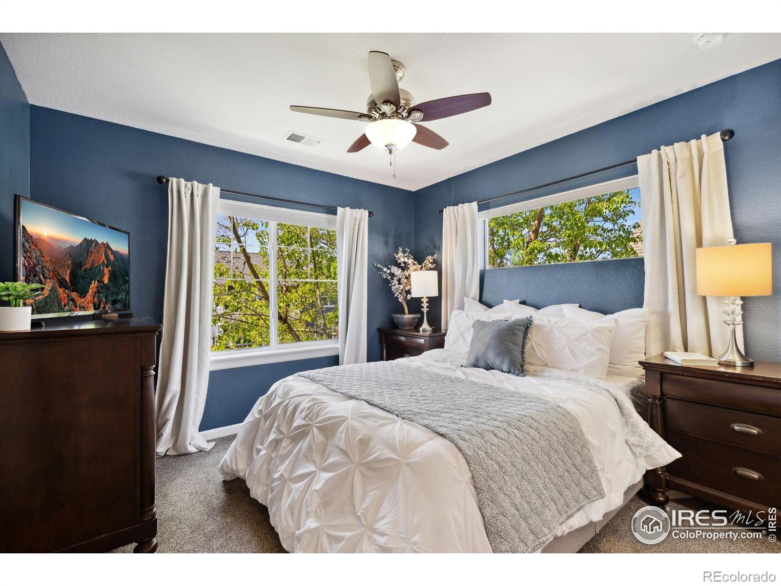 MLS Image #13 for 1278  hummingbird circle,longmont, Colorado