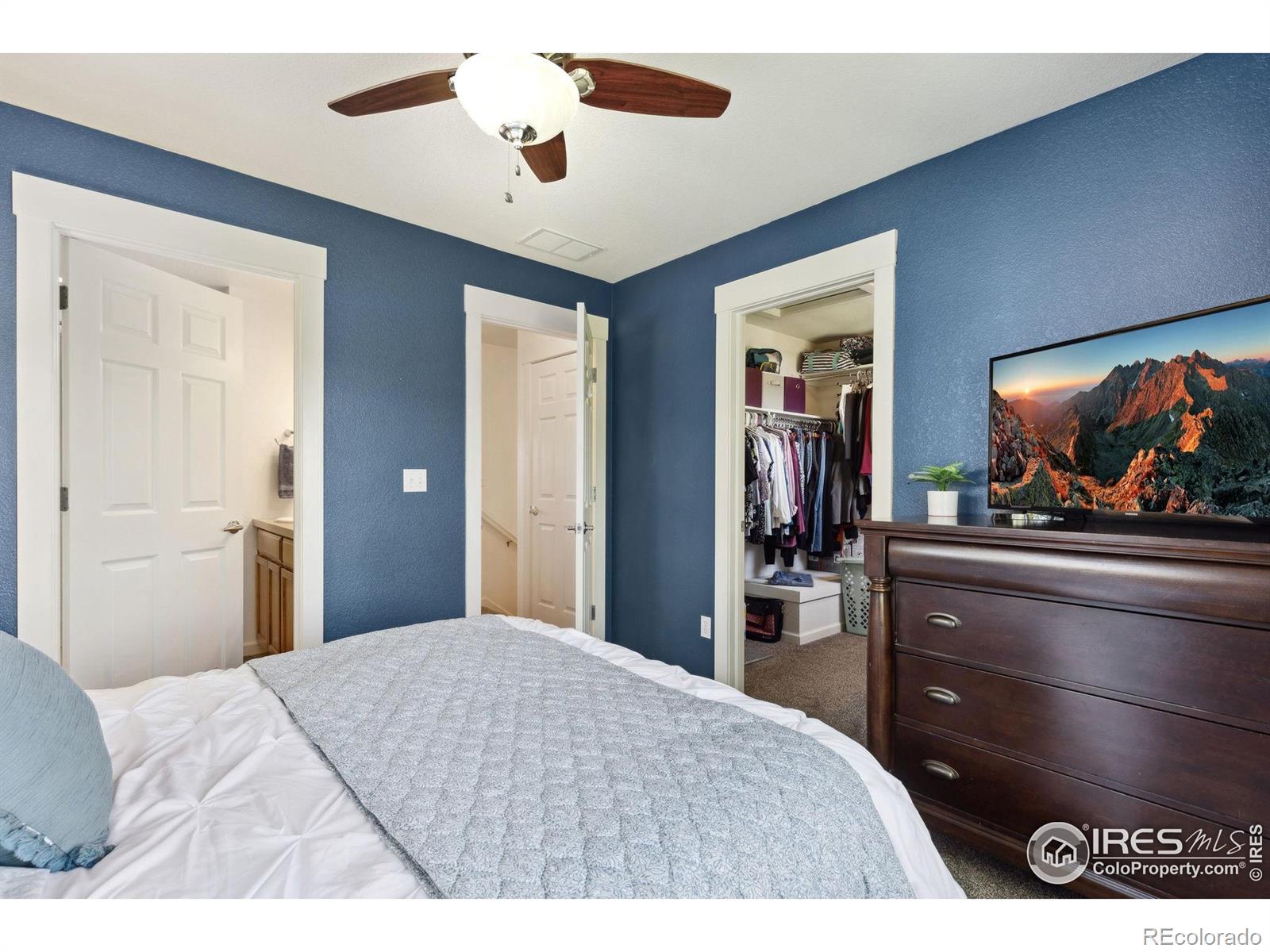 MLS Image #14 for 1278  hummingbird circle,longmont, Colorado