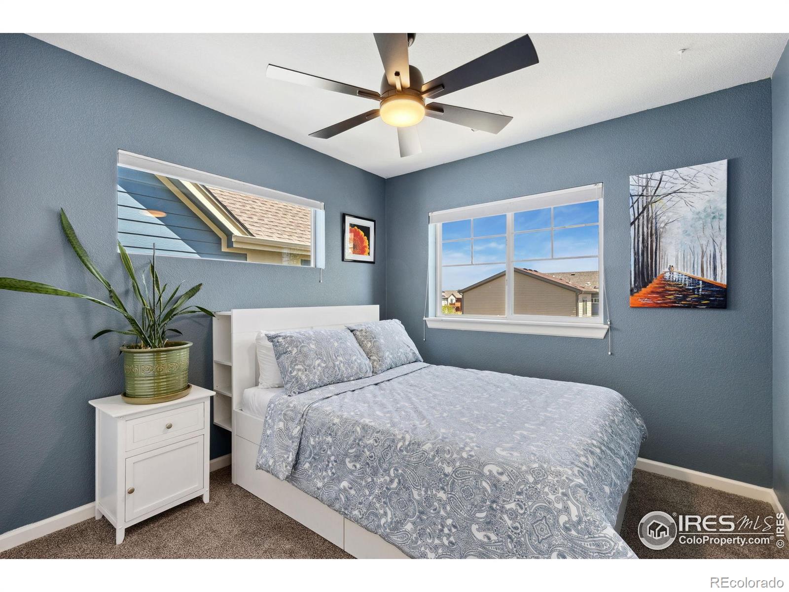MLS Image #15 for 1278  hummingbird circle,longmont, Colorado