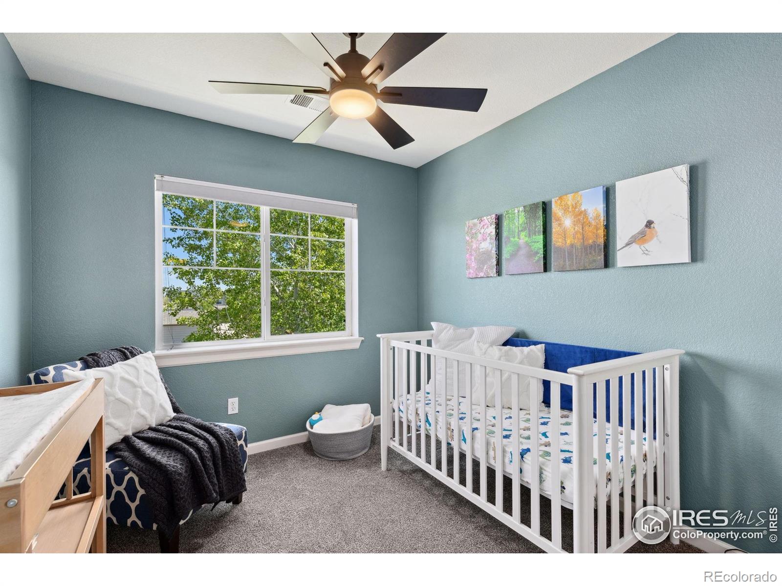 MLS Image #16 for 1278  hummingbird circle,longmont, Colorado