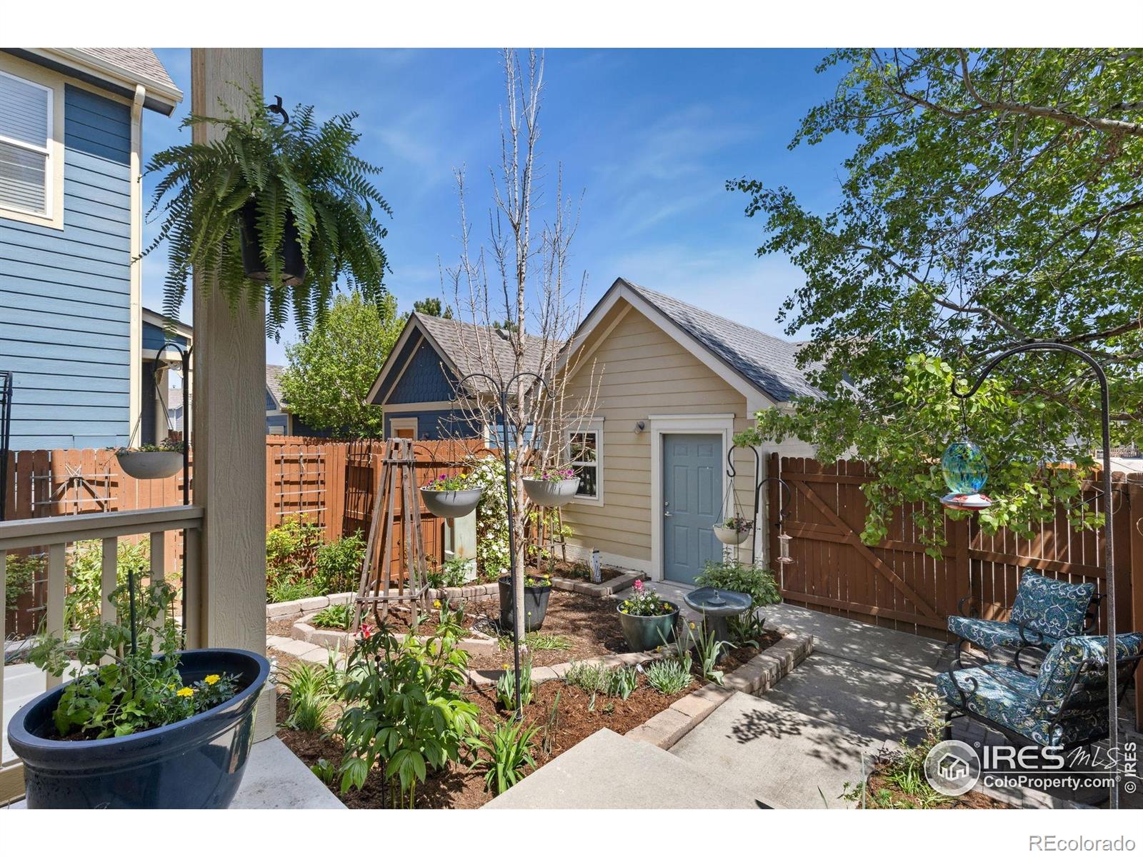 MLS Image #2 for 1278  hummingbird circle,longmont, Colorado