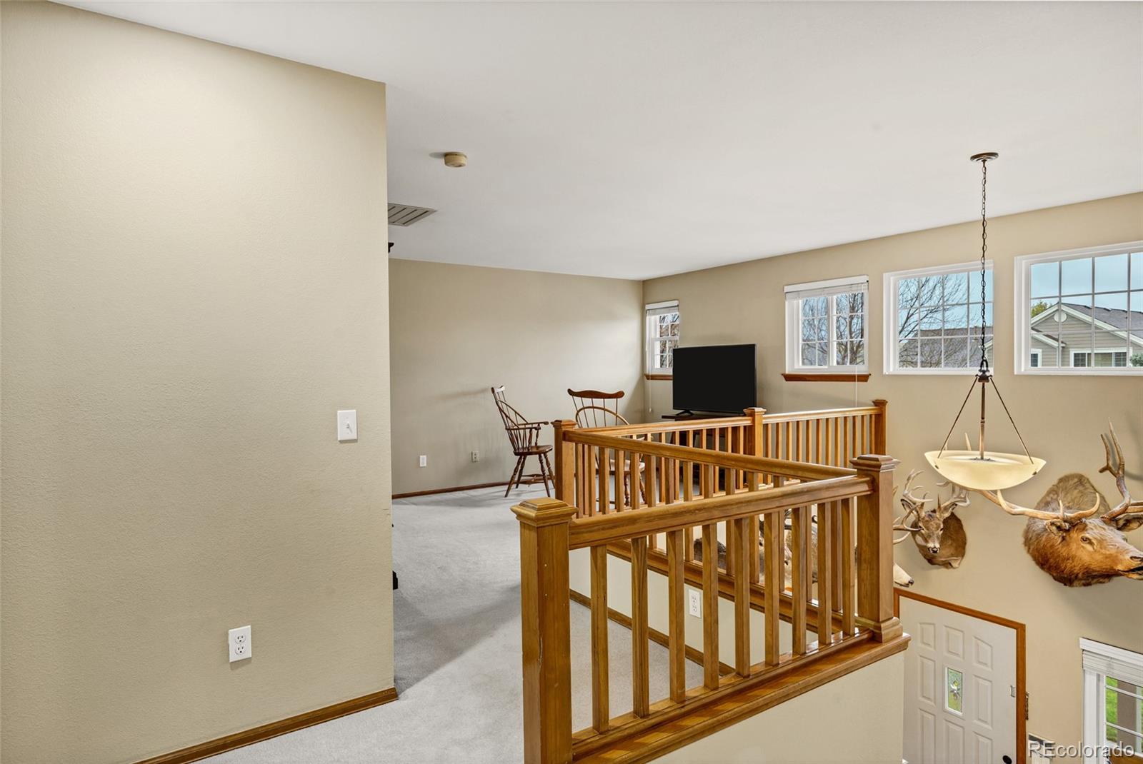 MLS Image #12 for 4498  buena vista court,castle rock, Colorado