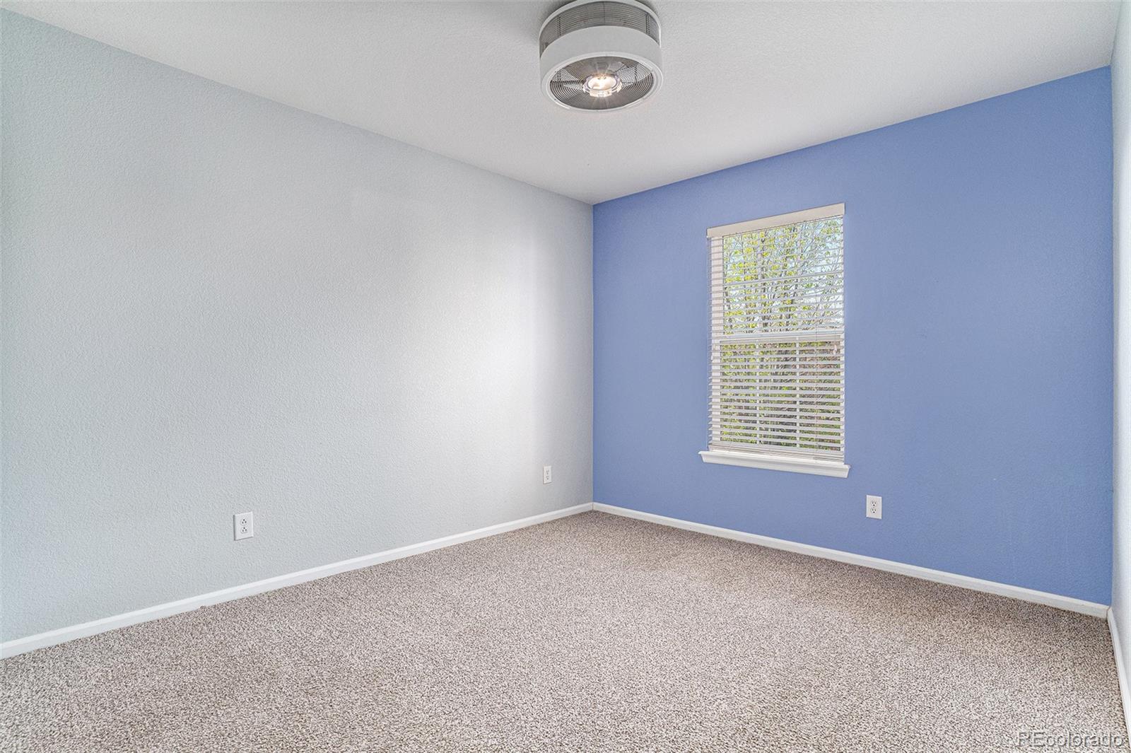 MLS Image #11 for 2709  county fair lane,fort collins, Colorado