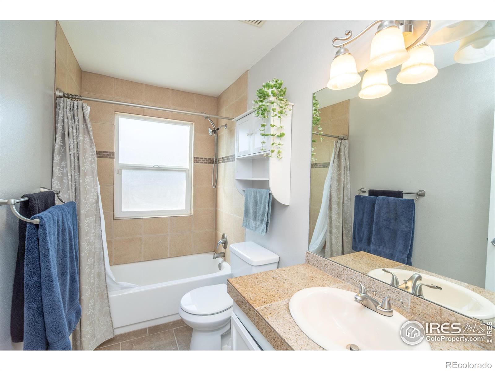 MLS Image #11 for 87  macon court,aurora, Colorado