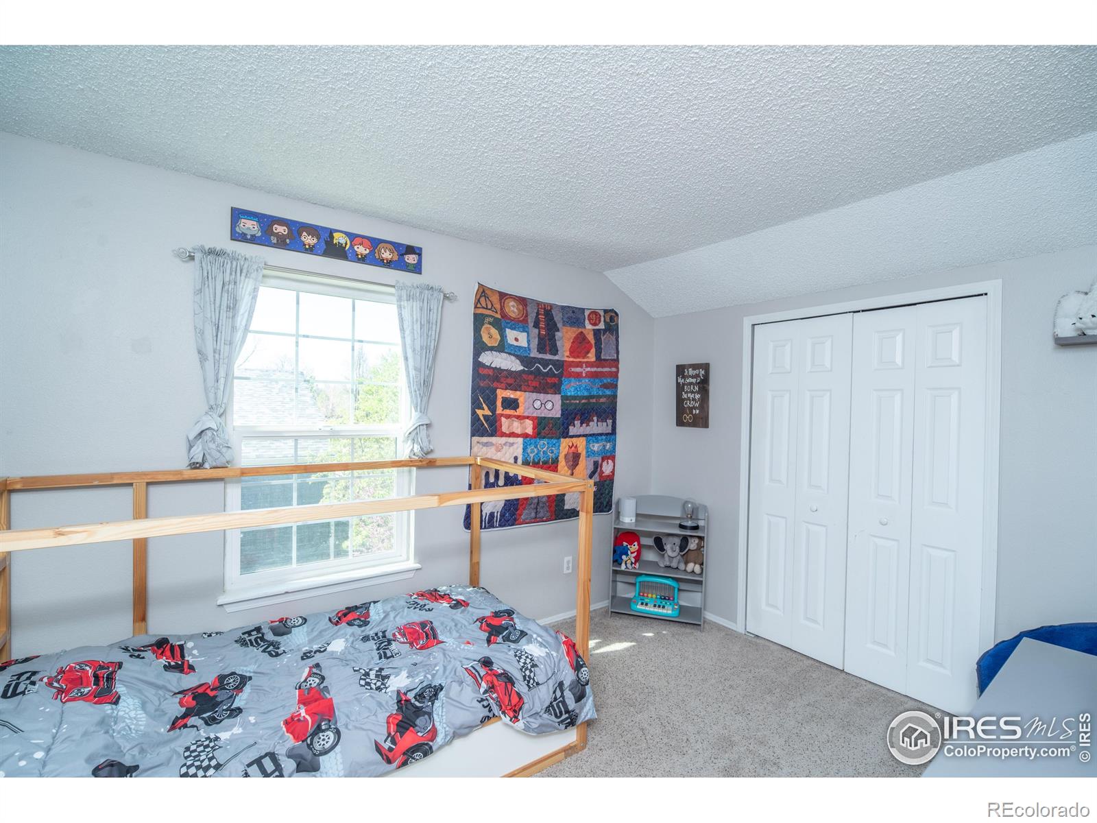 MLS Image #16 for 87  macon court,aurora, Colorado