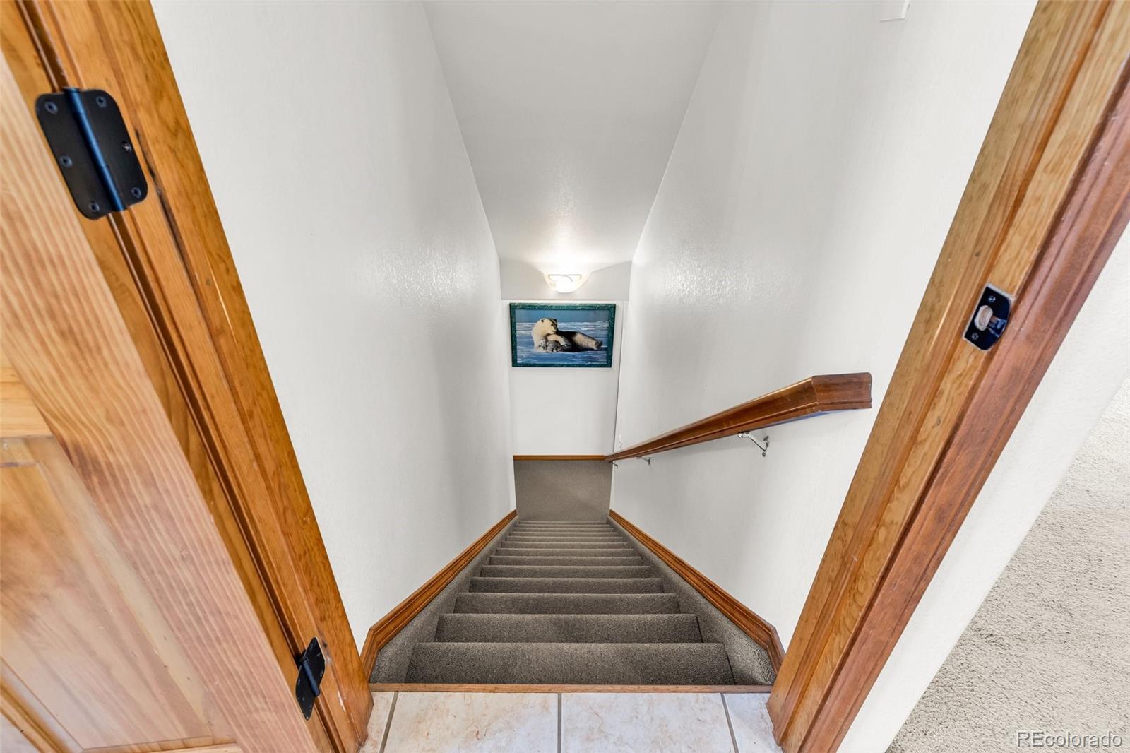 MLS Image #31 for 90  riggs road,westcliffe, Colorado