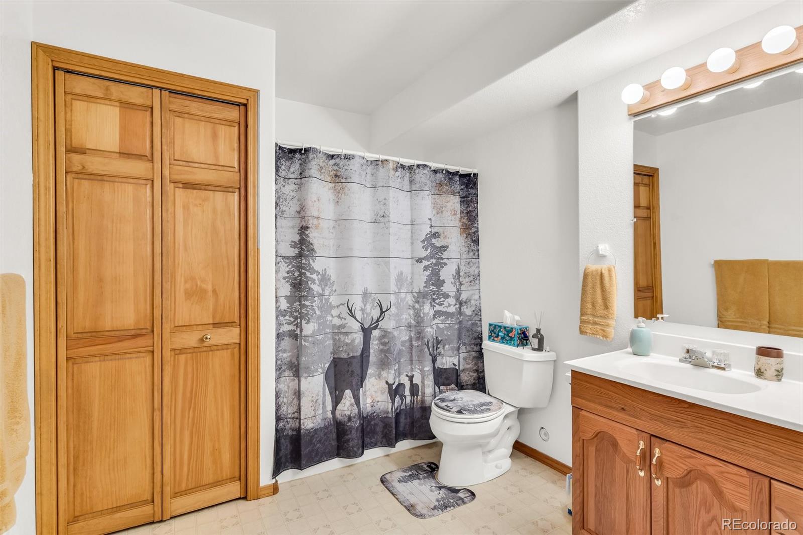 MLS Image #32 for 90  riggs road,westcliffe, Colorado