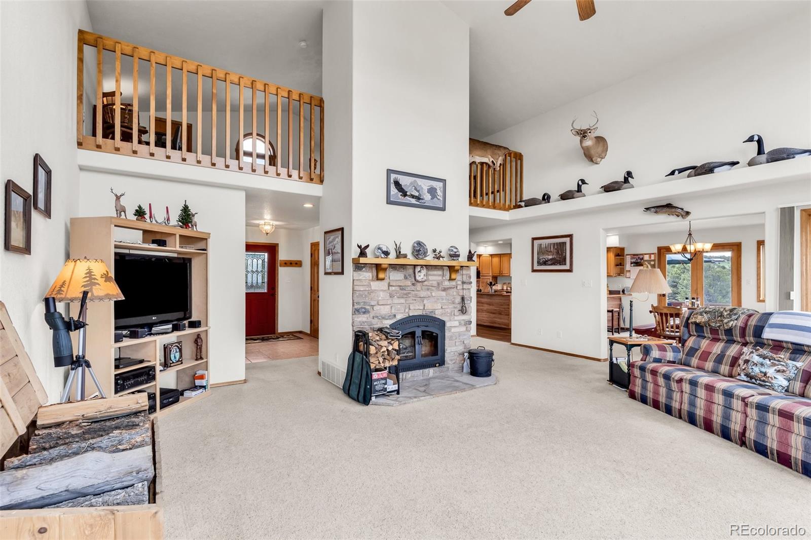 MLS Image #7 for 90  riggs road,westcliffe, Colorado
