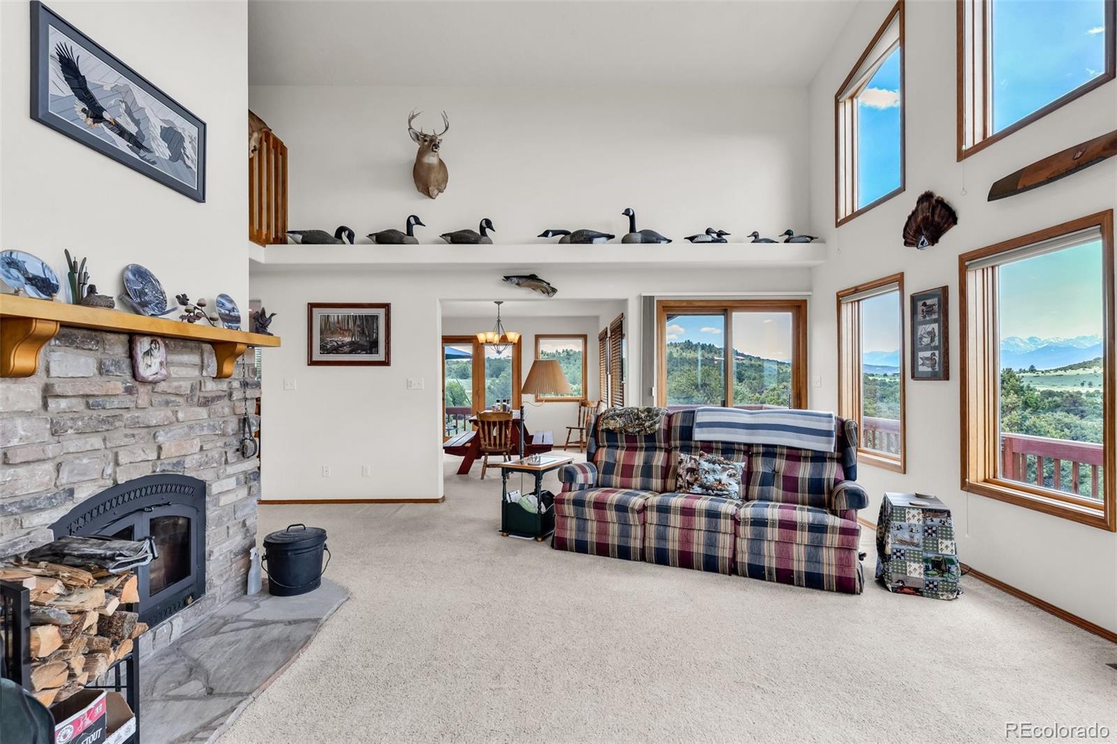 MLS Image #9 for 90  riggs road,westcliffe, Colorado