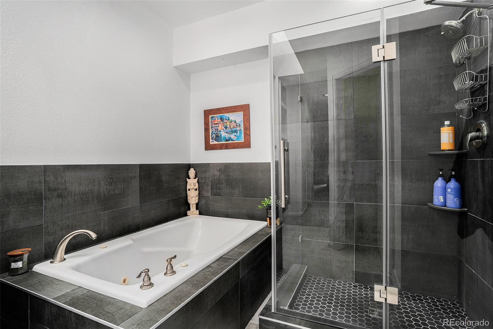 MLS Image #19 for 403  captains court,fort collins, Colorado