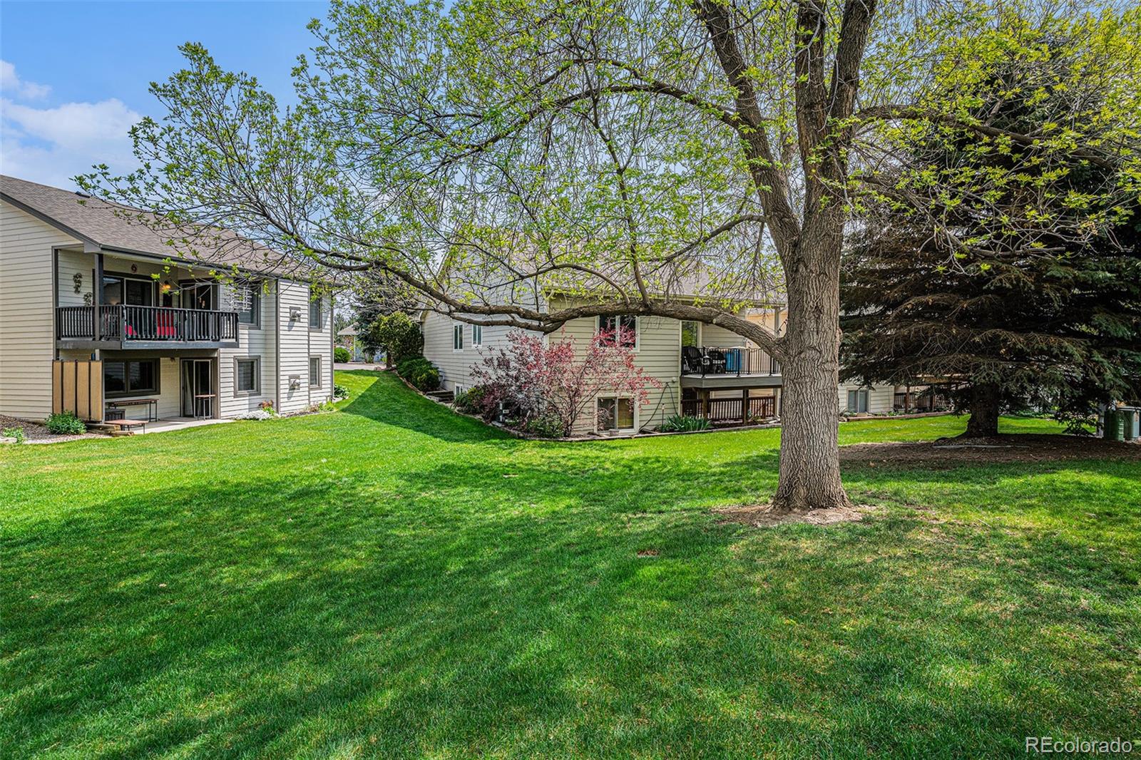 MLS Image #29 for 403  captains court,fort collins, Colorado