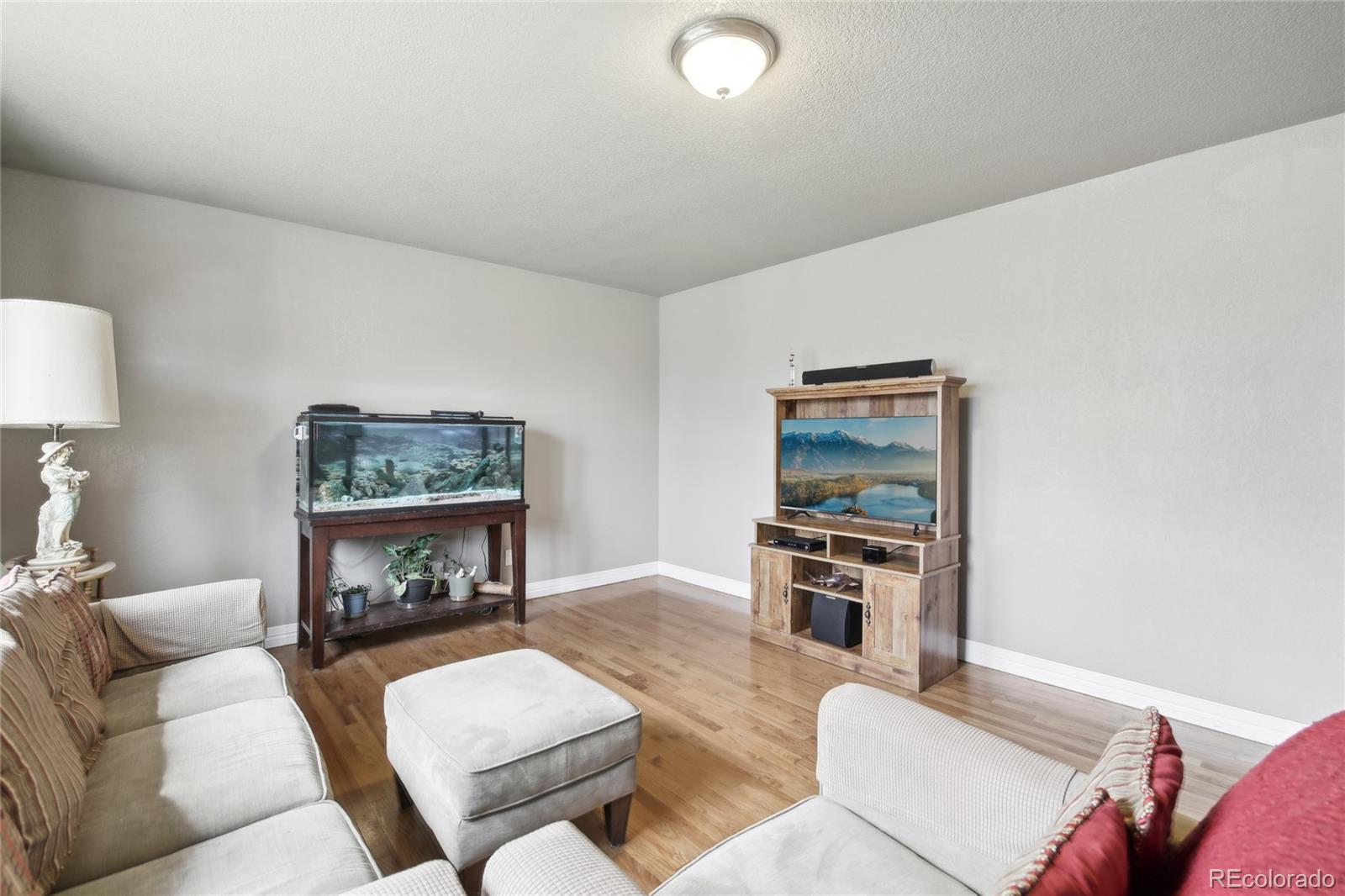MLS Image #1 for 55  emerald street,broomfield, Colorado