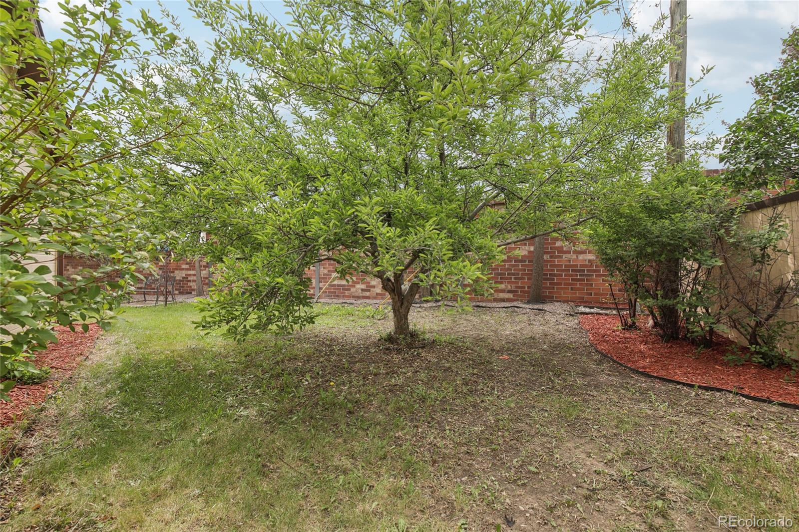 MLS Image #29 for 55  emerald street,broomfield, Colorado