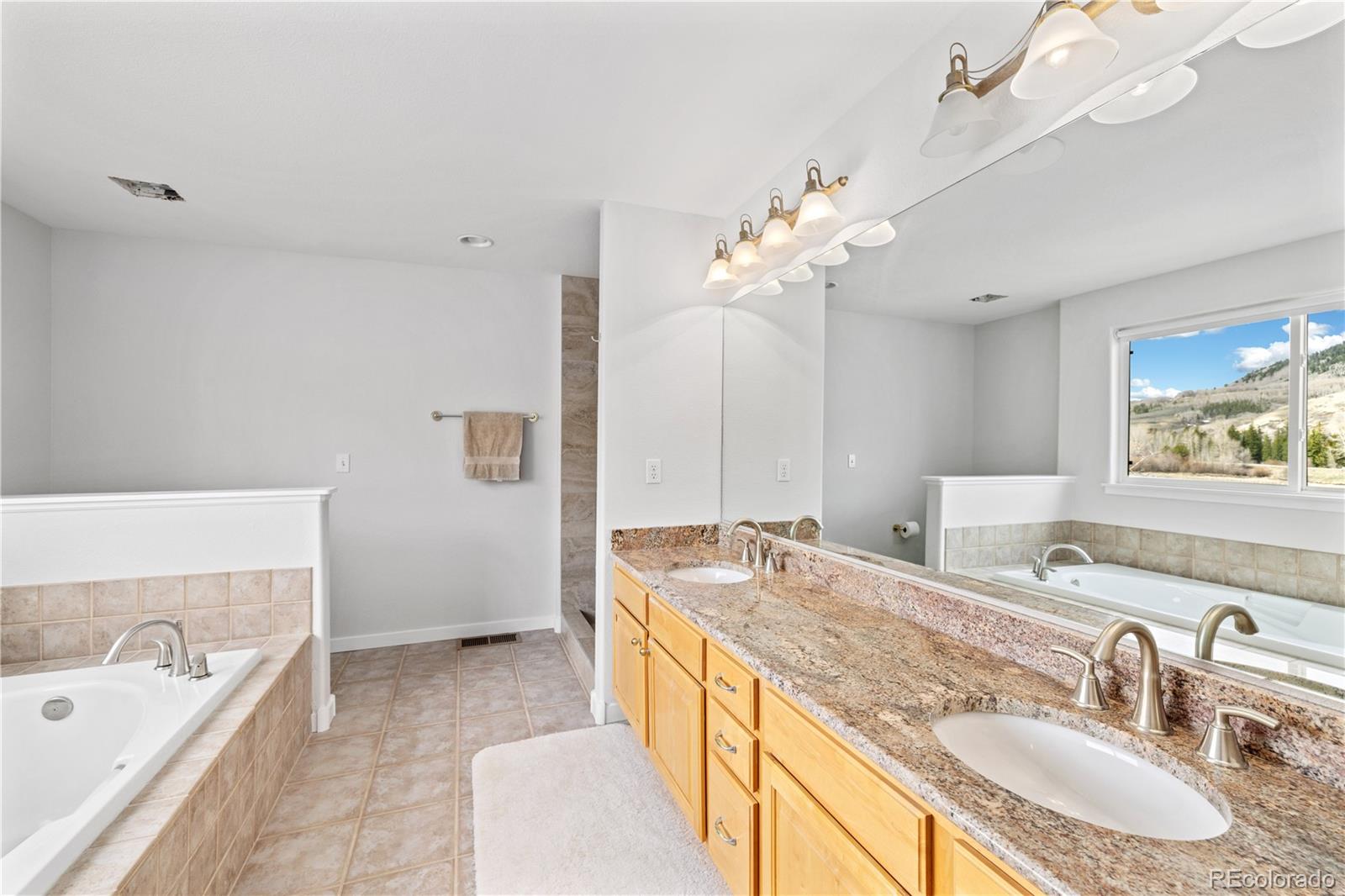 MLS Image #14 for 126  robin drive,silverthorne, Colorado