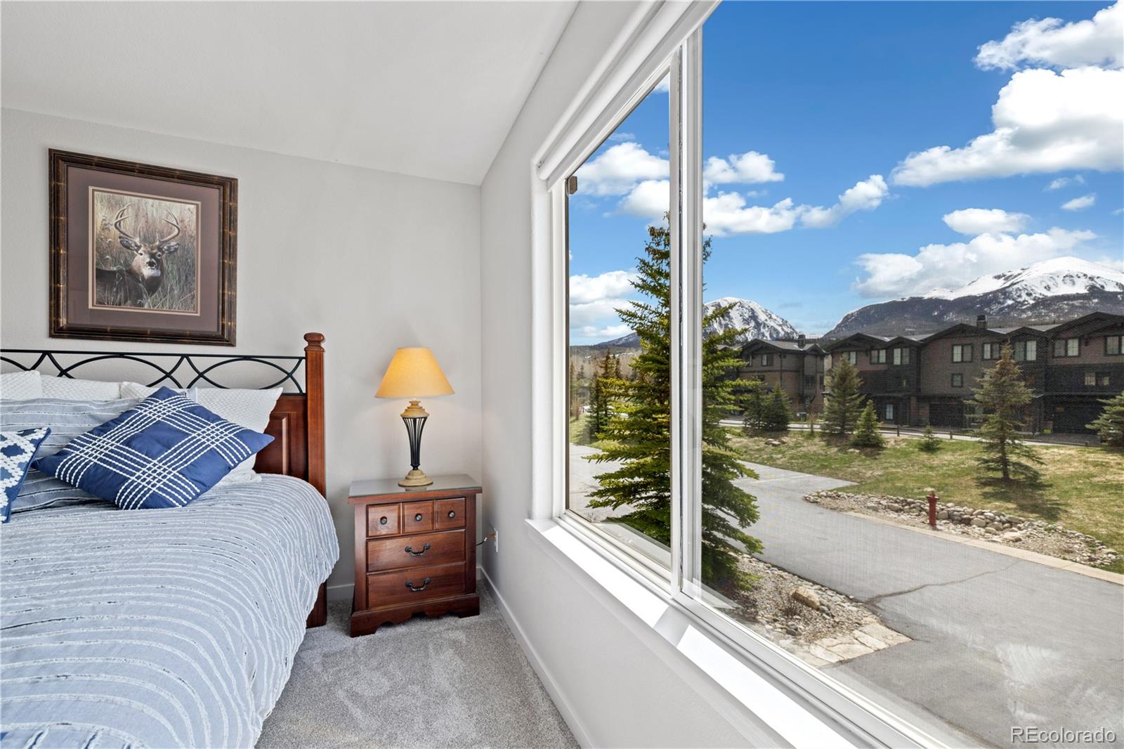 MLS Image #18 for 126  robin drive,silverthorne, Colorado