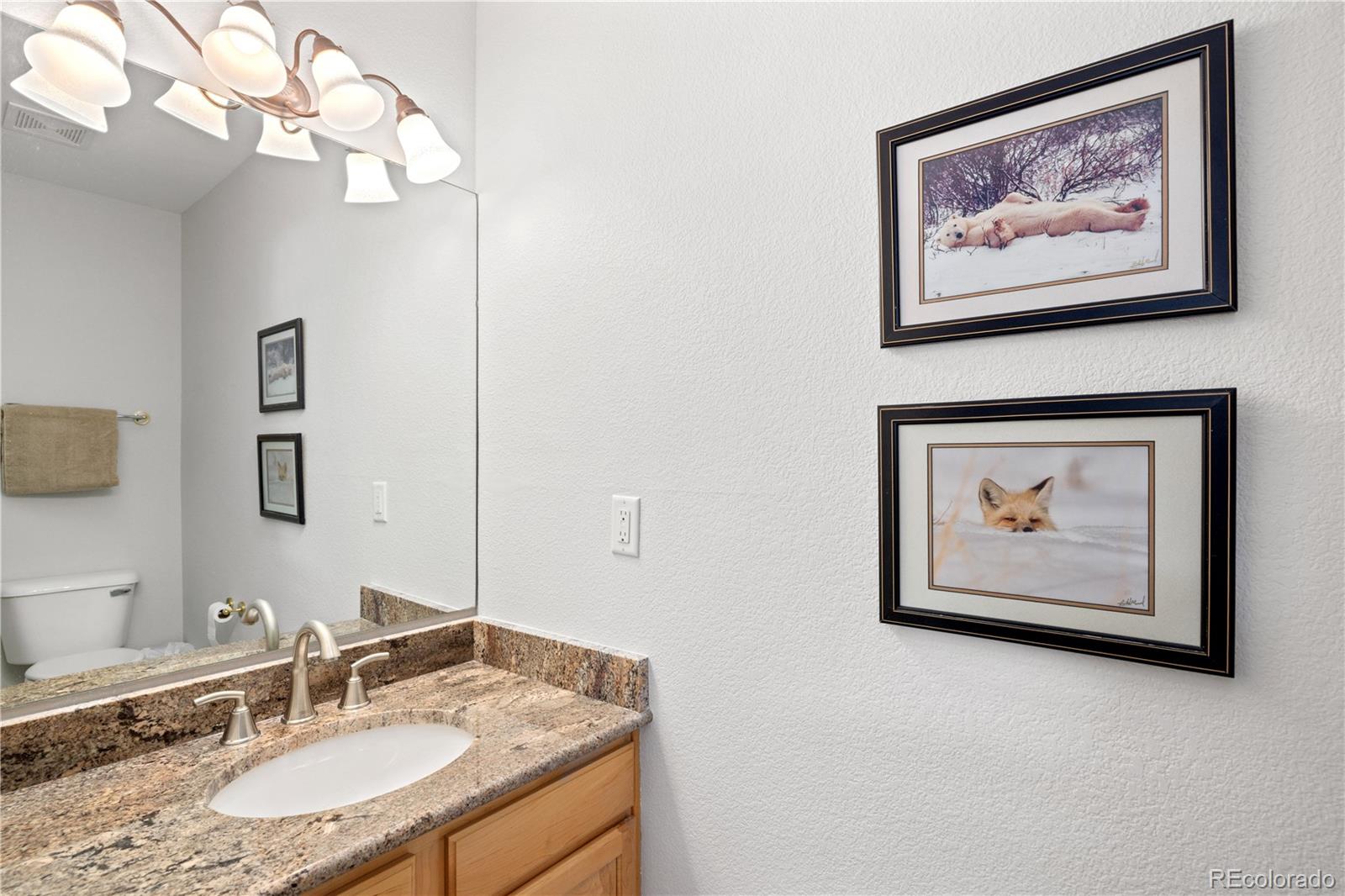 MLS Image #21 for 126  robin drive,silverthorne, Colorado