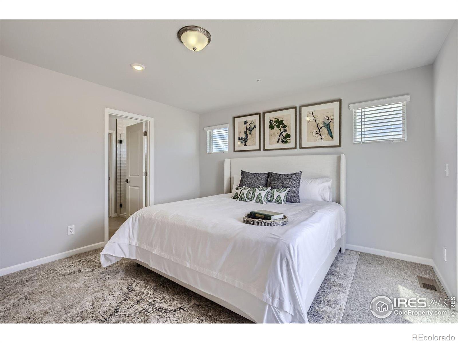 MLS Image #14 for 2732  bear springs circle,longmont, Colorado