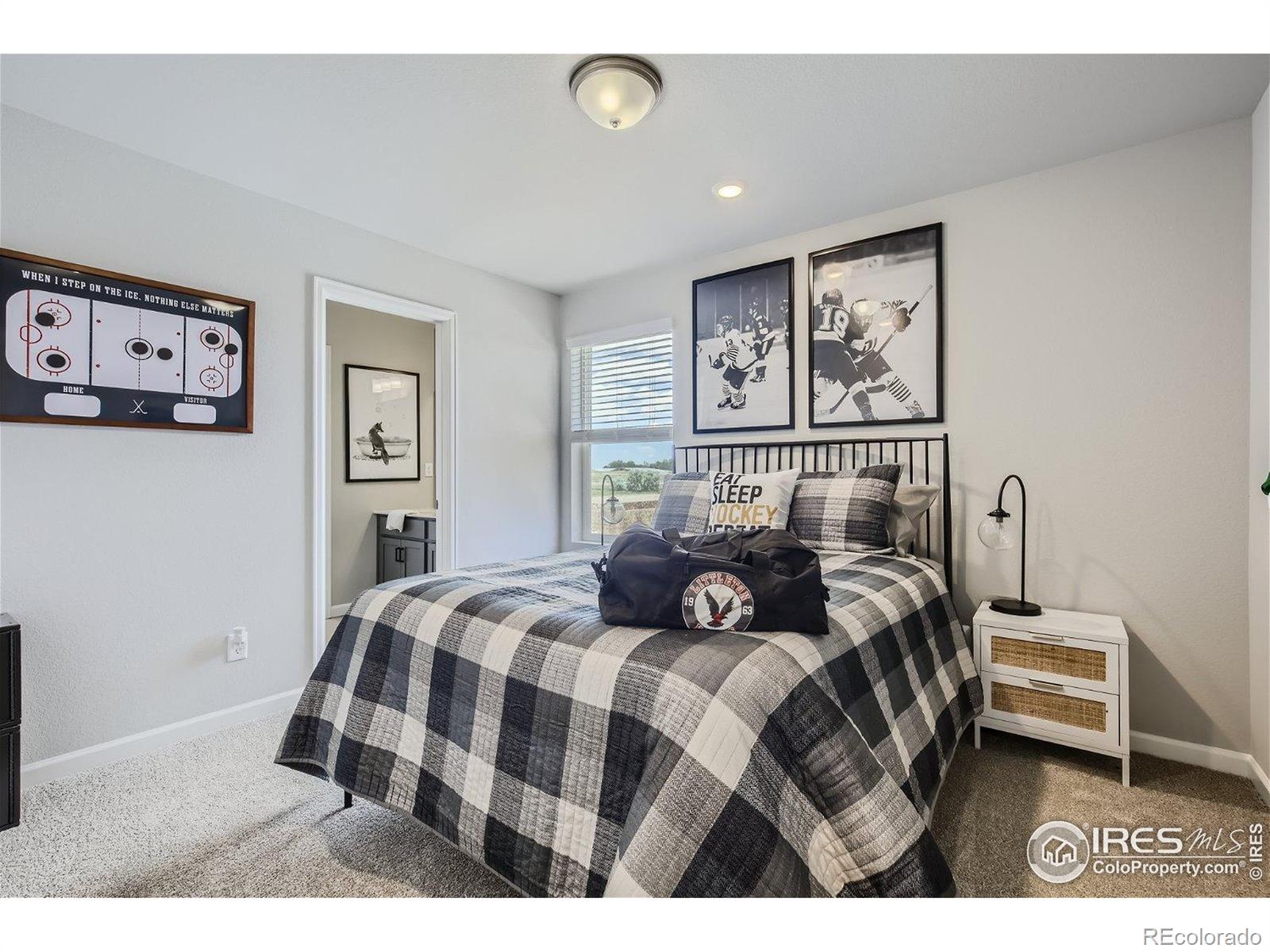 MLS Image #21 for 2732  bear springs circle,longmont, Colorado