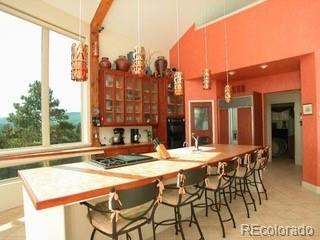 MLS Image #14 for 33247  fishers peak parkway,trinidad, Colorado