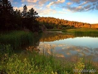 MLS Image #16 for 33247  fishers peak parkway,trinidad, Colorado
