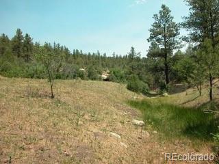 MLS Image #17 for 33247  fishers peak parkway,trinidad, Colorado