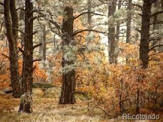 MLS Image #28 for 33247  fishers peak parkway,trinidad, Colorado
