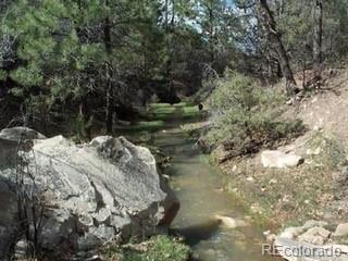 MLS Image #40 for 33247  fishers peak parkway,trinidad, Colorado