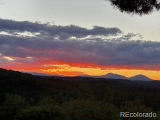 MLS Image #42 for 33247  fishers peak parkway,trinidad, Colorado