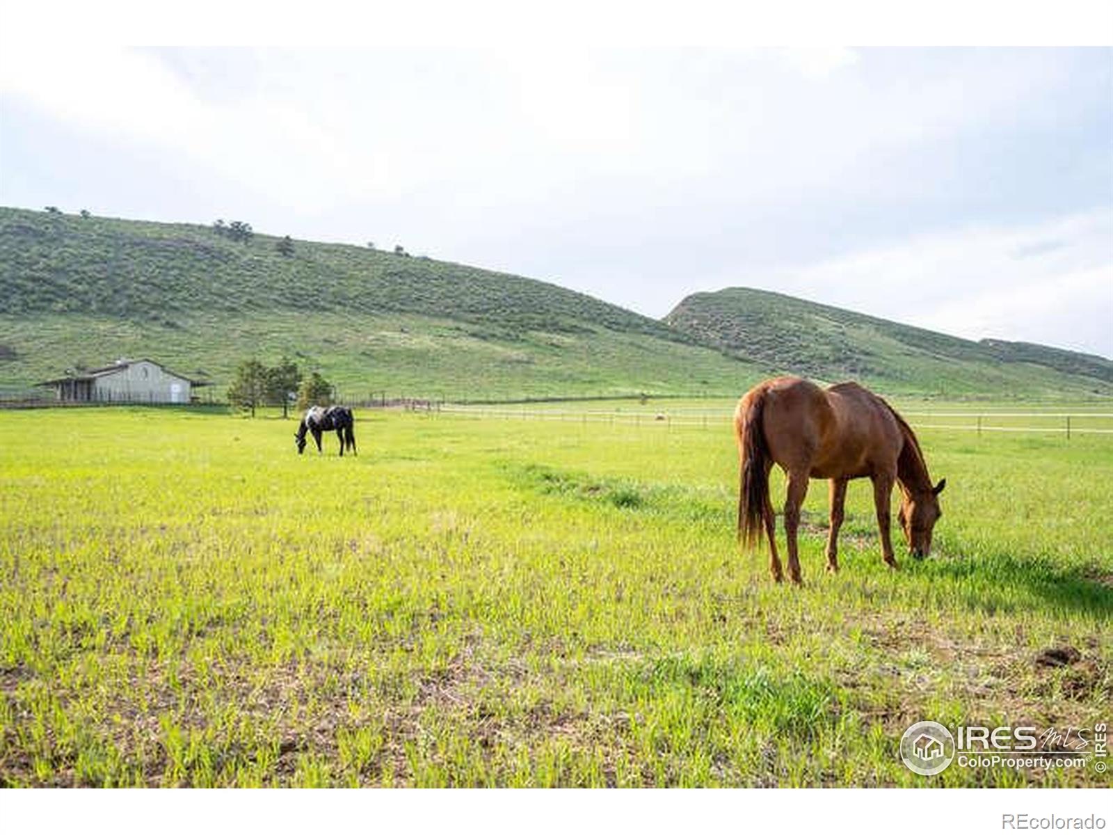 MLS Image #34 for 6085  spring glade road,loveland, Colorado