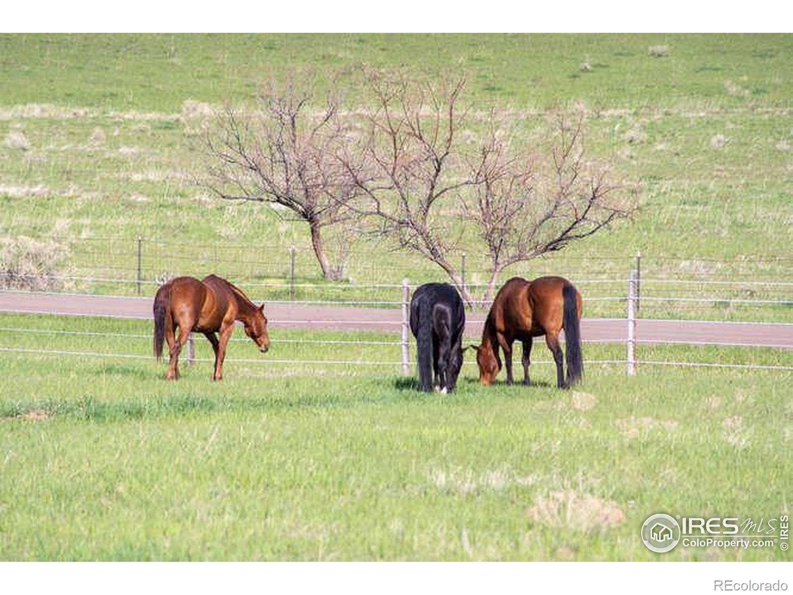 MLS Image #36 for 6085  spring glade road,loveland, Colorado
