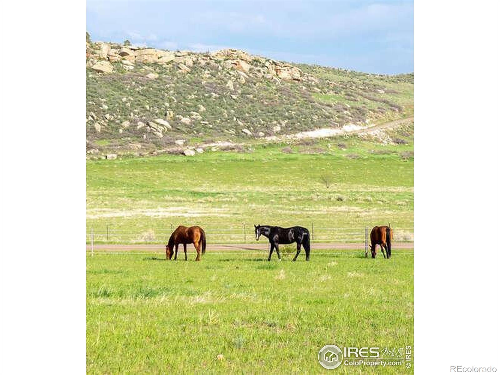MLS Image #38 for 6085  spring glade road,loveland, Colorado