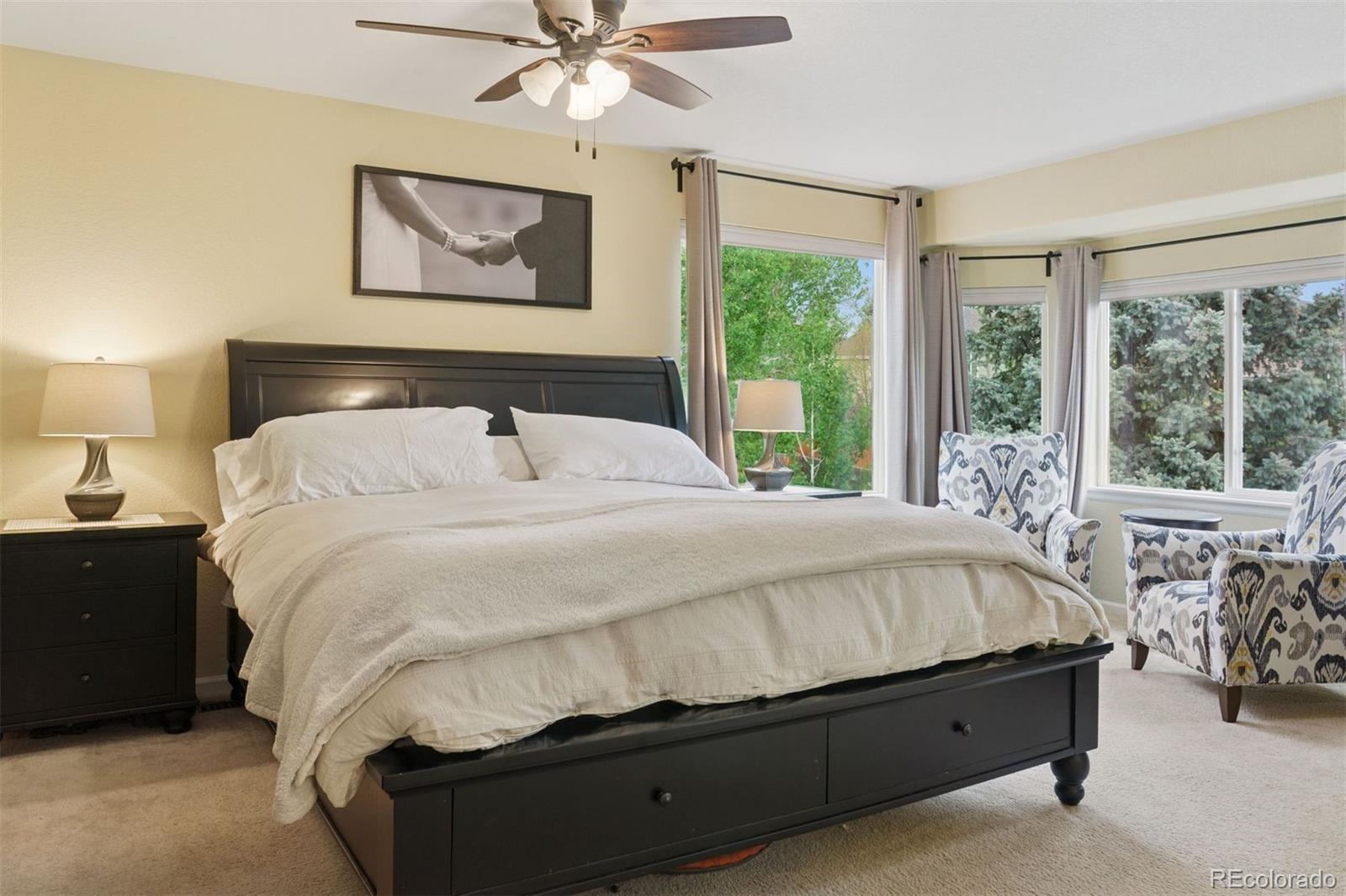 MLS Image #25 for 10570  humboldt peak way,parker, Colorado