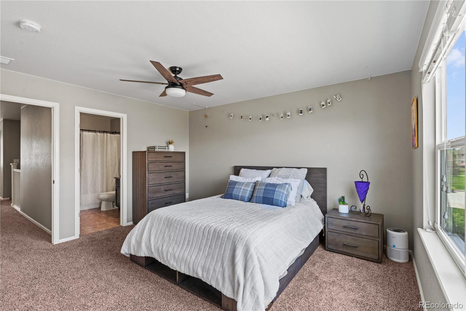 MLS Image #32 for 1852 e seadrift drive,windsor, Colorado