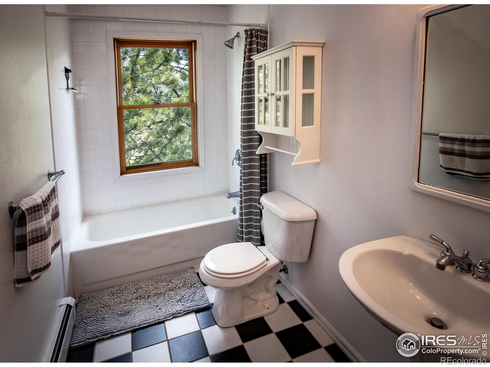 MLS Image #20 for 18  pine street,jamestown, Colorado