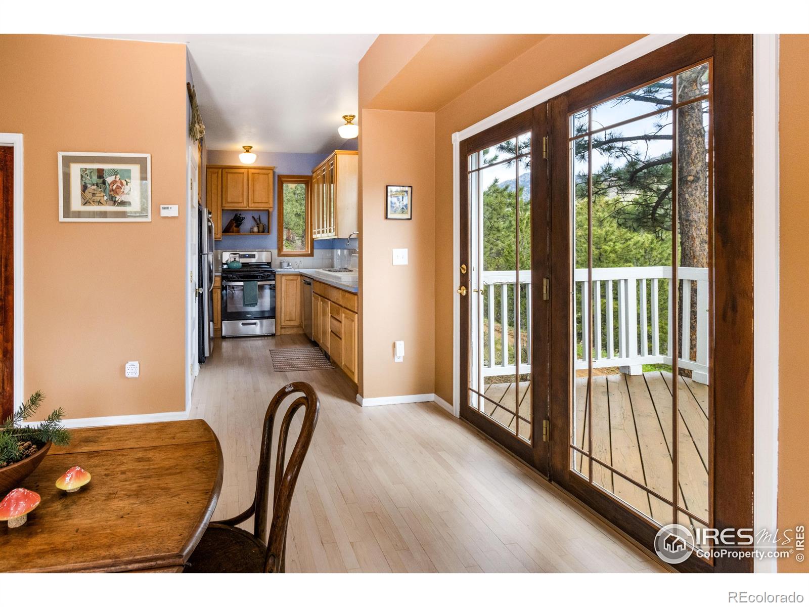 MLS Image #6 for 18  pine street,jamestown, Colorado