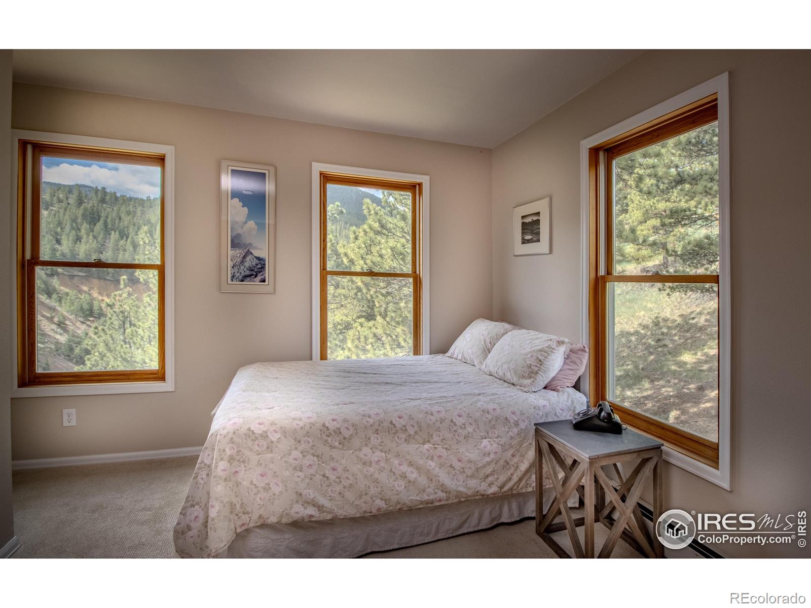 MLS Image #7 for 18  pine street,jamestown, Colorado